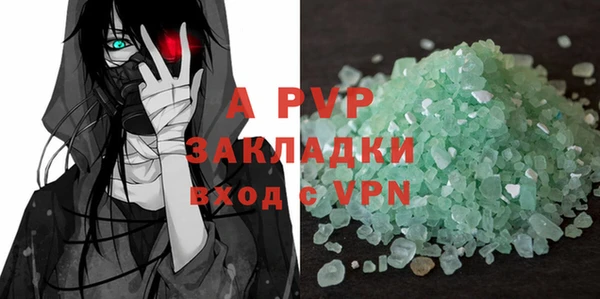 стаф Абинск